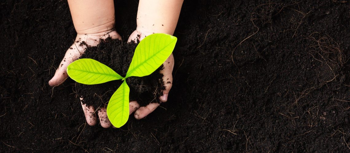Top view of child hand planting young tree seedling on black soil at the garden, Concept of global pollution, Save Earth day and Hand Environment conservation